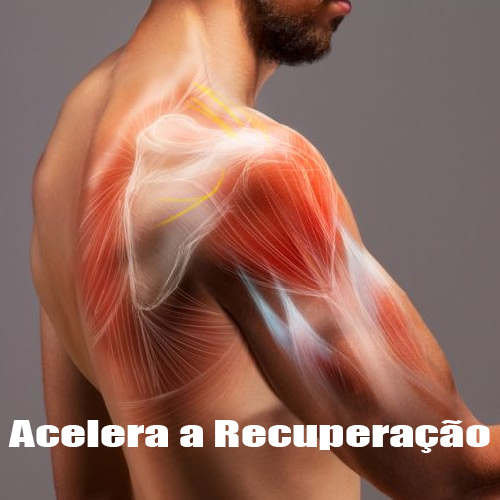 creatina-acelera-recuperacao